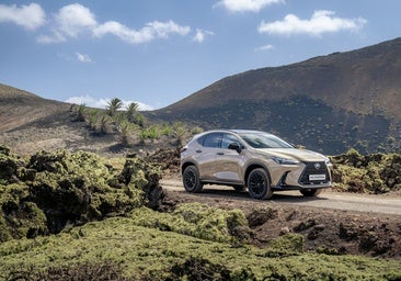 Lexus NX Overtrail, diseñado para aventuras de lujo