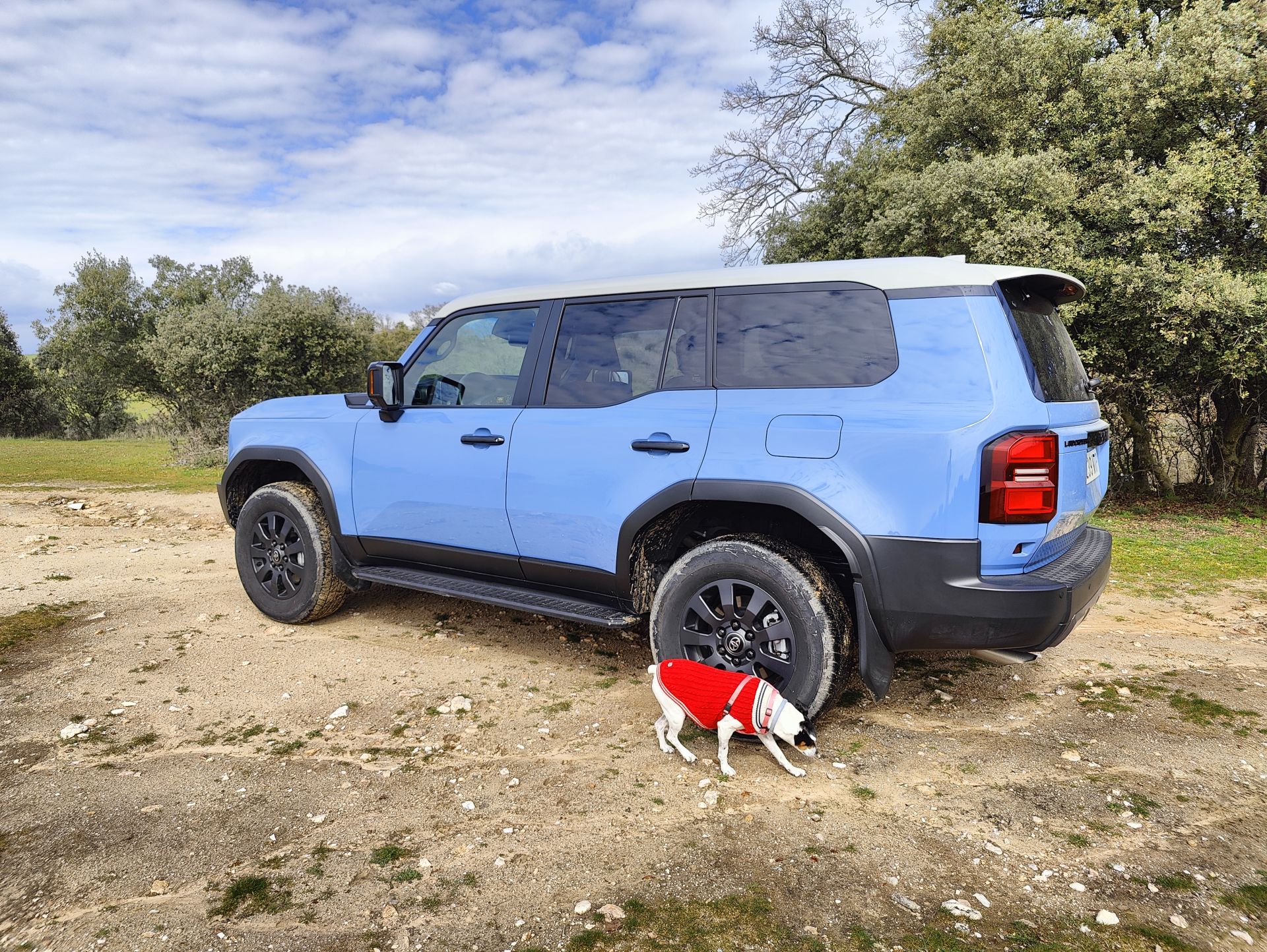 Disponible en colores exclusivos y con detalles de diseño que resaltan su carácter especial.