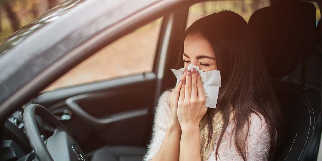 Car Allergy Shelter