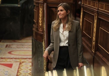 El Congreso aprueba 400 millones para el Moves en 2025