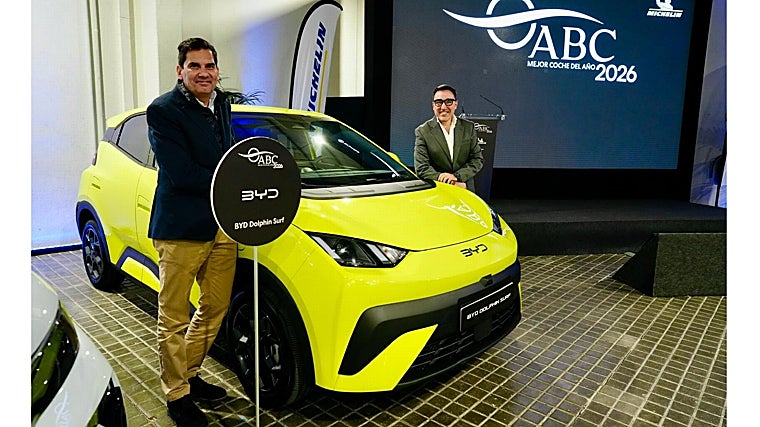 BYD Surf com Golfinhos