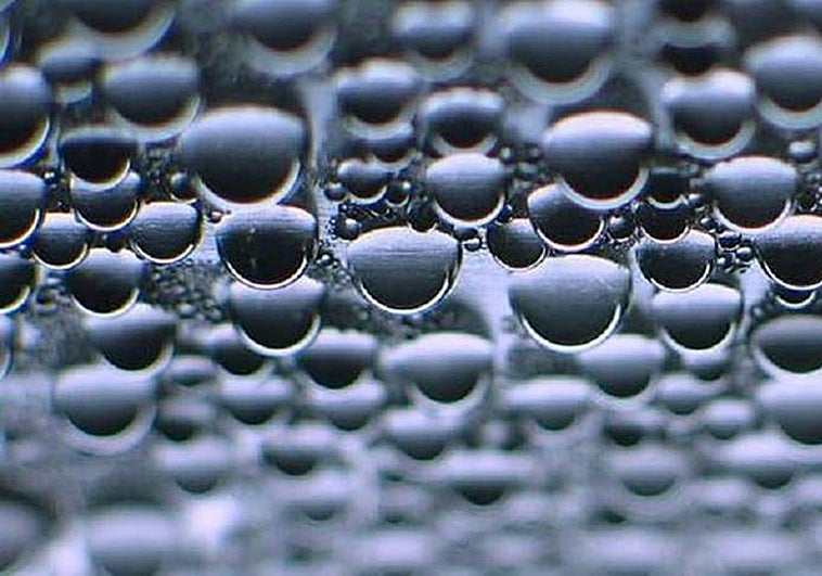 Bacterias modificadas para conseguir hidrógeno verde