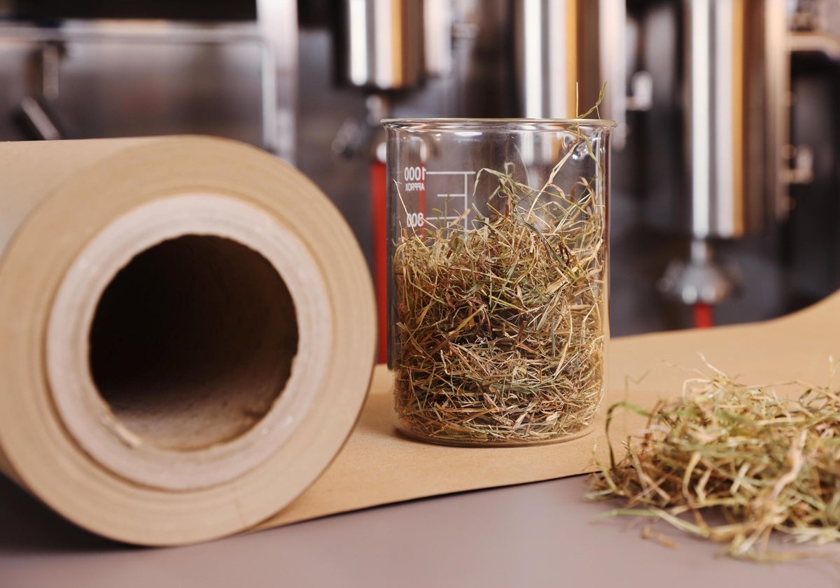Paja y grano pueden convertirse en papel