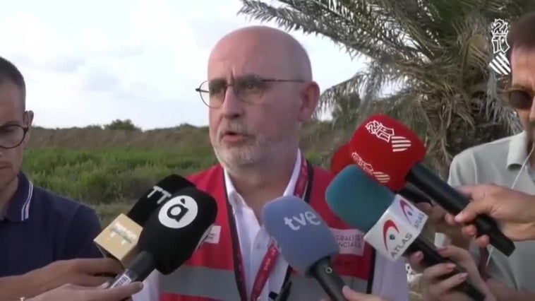 Limpian manualmente el vertido de la playa de València, de 2 km de longitud y 2 m de