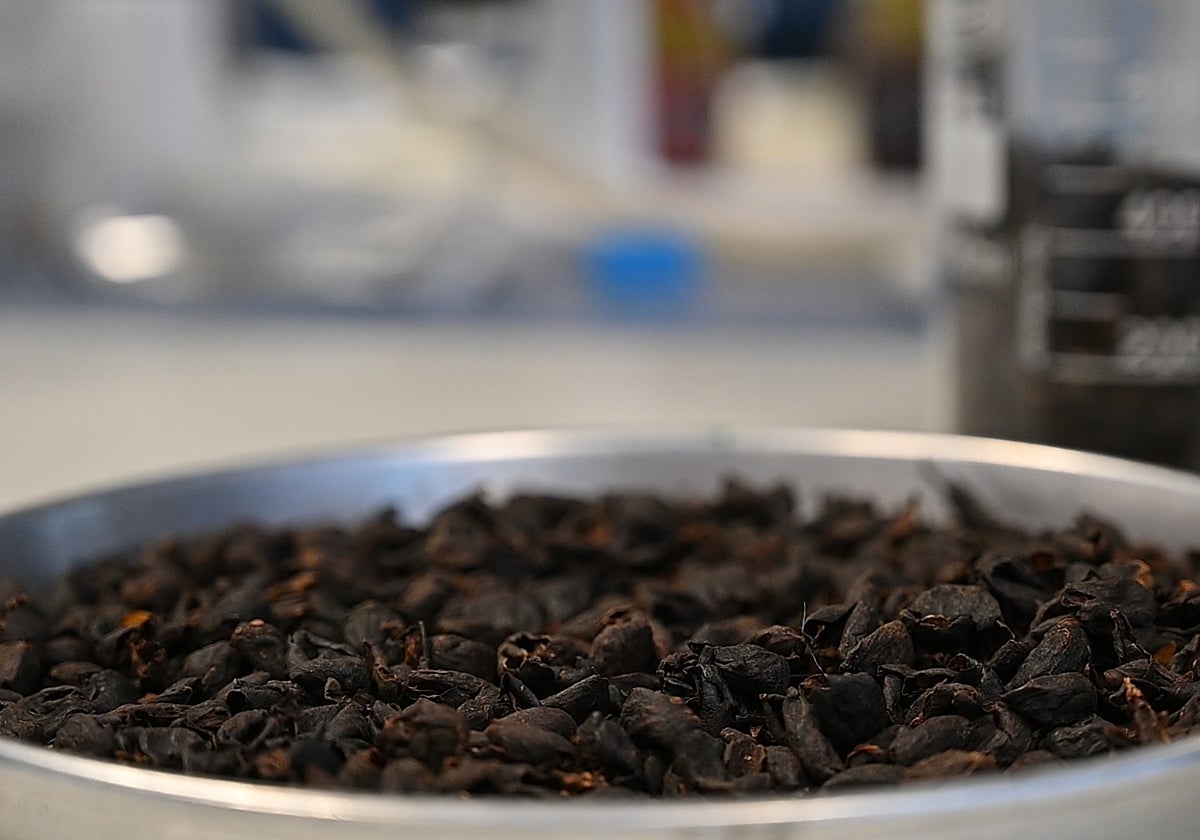 Cáscaras de café en el laboratorio del equipo del CIAL