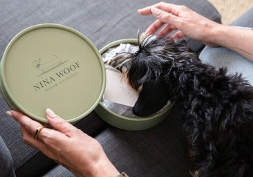 Accesorios veganos para mascotas: reciclados, biodegradables y respetuosos con el entorno