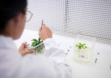 El laboratorio del futuro del café
