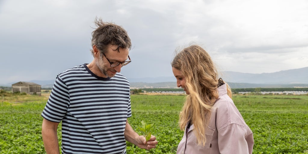Cultivar índigo para vestir sostenibilidad