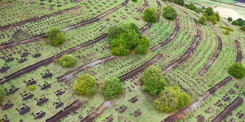 Etiopía, ejemplo africano frente a la emergencia climática