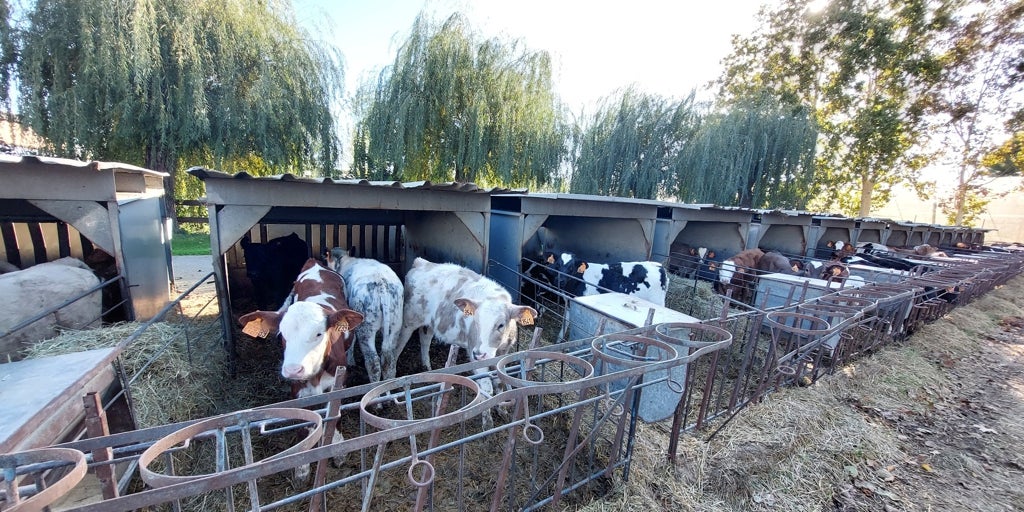 Innovación y tecnología para regenerar el campo español