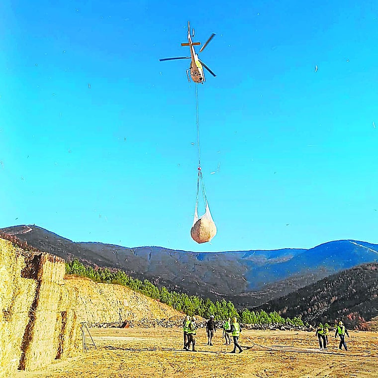 La paja colocada estratégicamente desde helicópteros protege las zonas incendiadas este verano