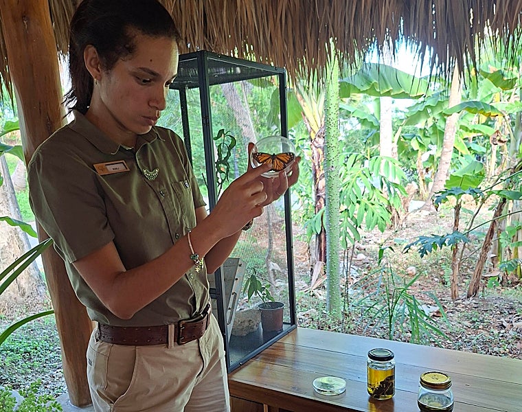 En los hoteles Bahía Príncipe del  Grupo Piñero se realizan actividades de educación ambiental para los huéspedes