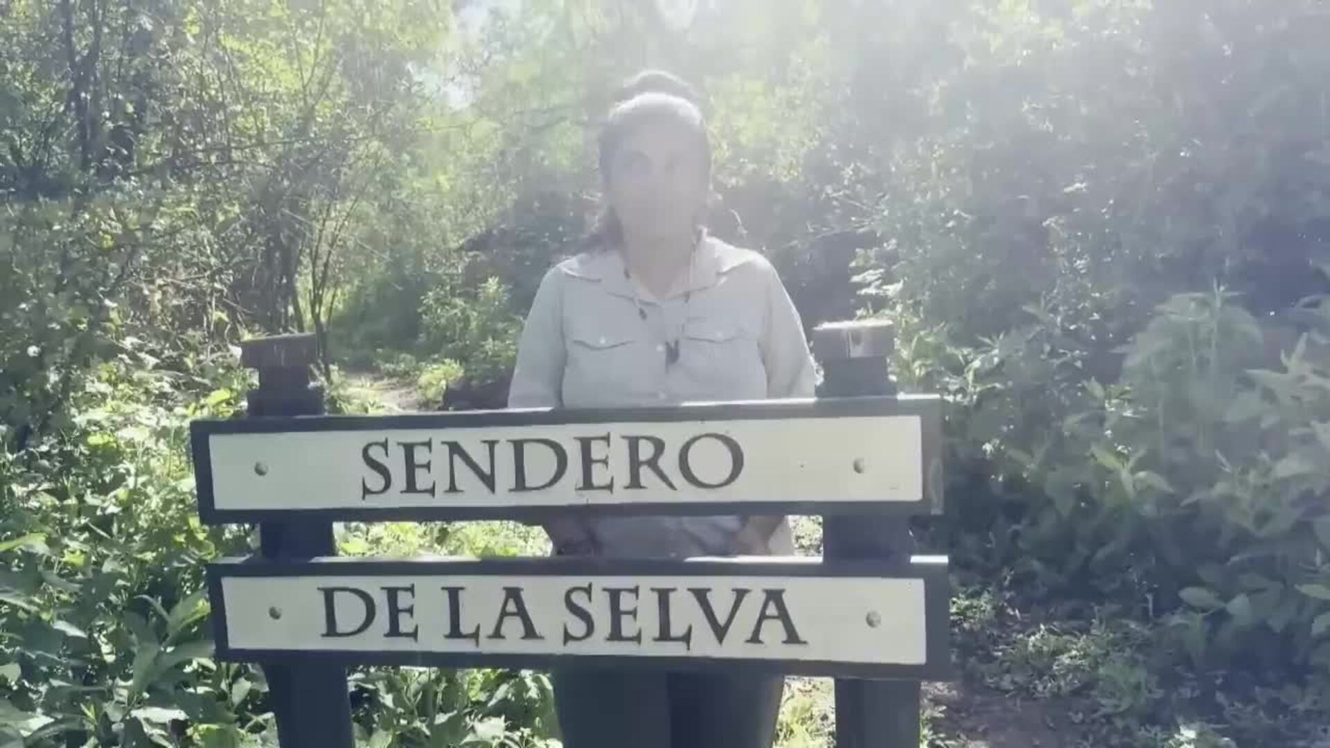 El Impenetrable argentino, un &#039;pulmón&#039; de Sudamérica amenazado por la deforestación