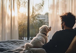 El bienestar  entre personas y perros mejora la salud física y emocional