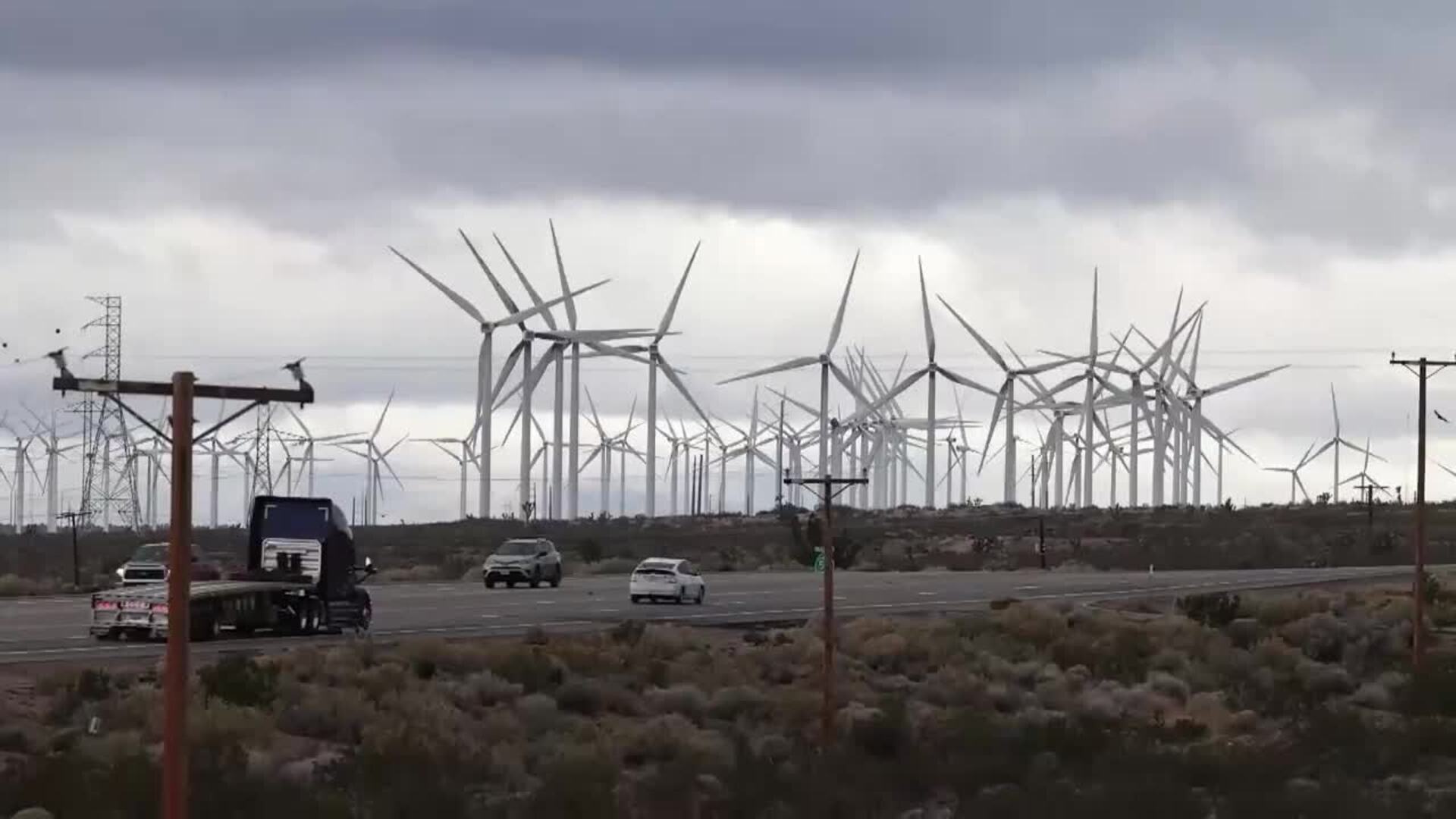 Controversias rodean al Mojave Wind Farm por su impacto ambiental y comunitario