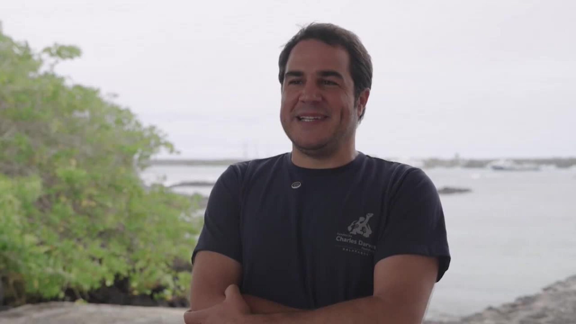 Galápagos y Malpelo: Refugios clave para tiburones en peligro de extinción