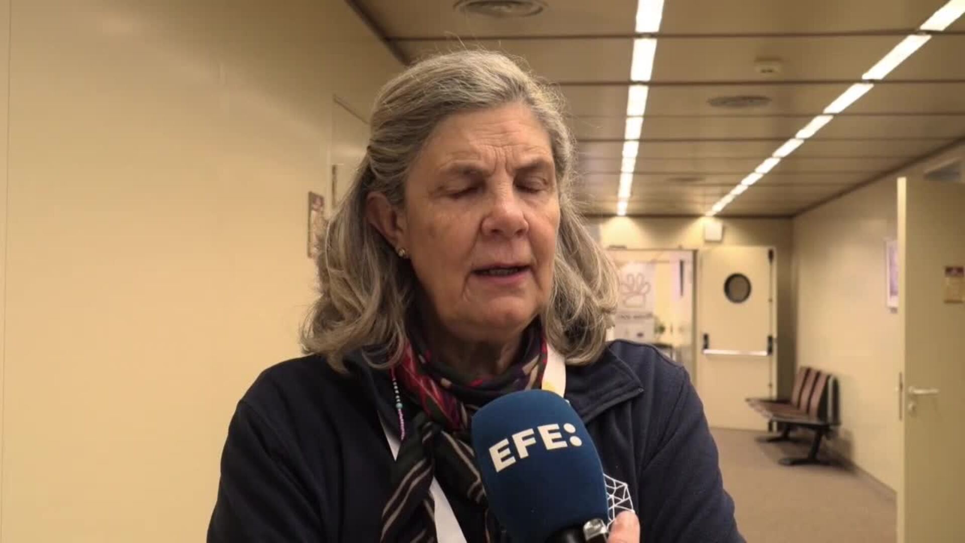 La divulgación salvó al lince: cómo se hizo para que llegara a cada casa española