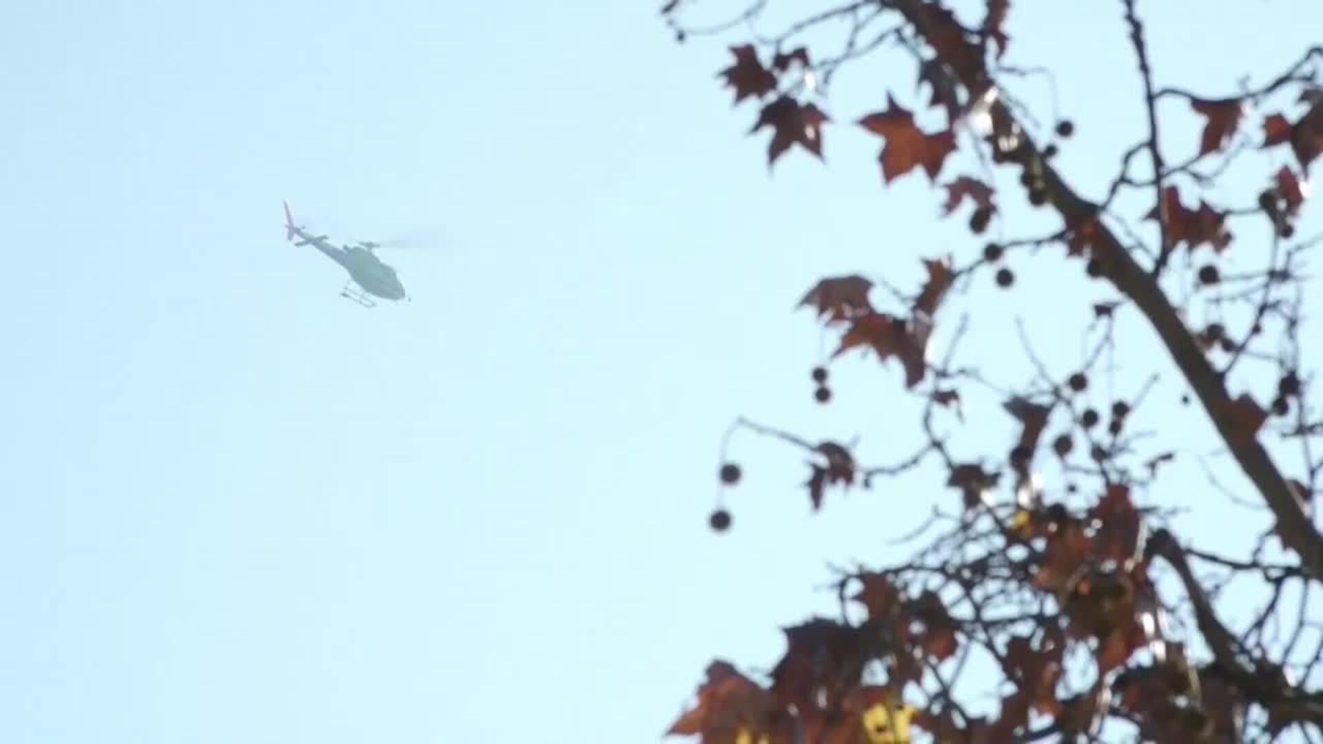 Despliegue coordinado contra la peste porcina africana en Collserola (Barcelona)