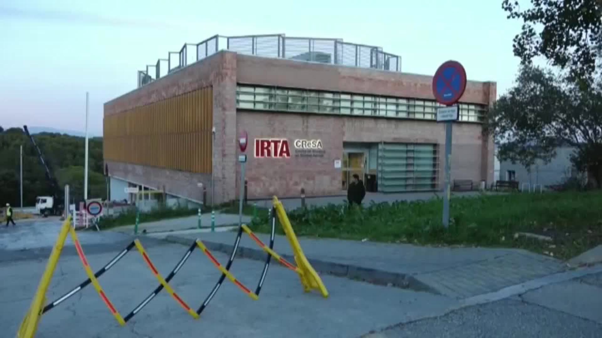 La peste porcina no ha salido de la zona del brote