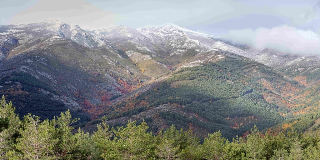 El valor de un paisaje gestionado
