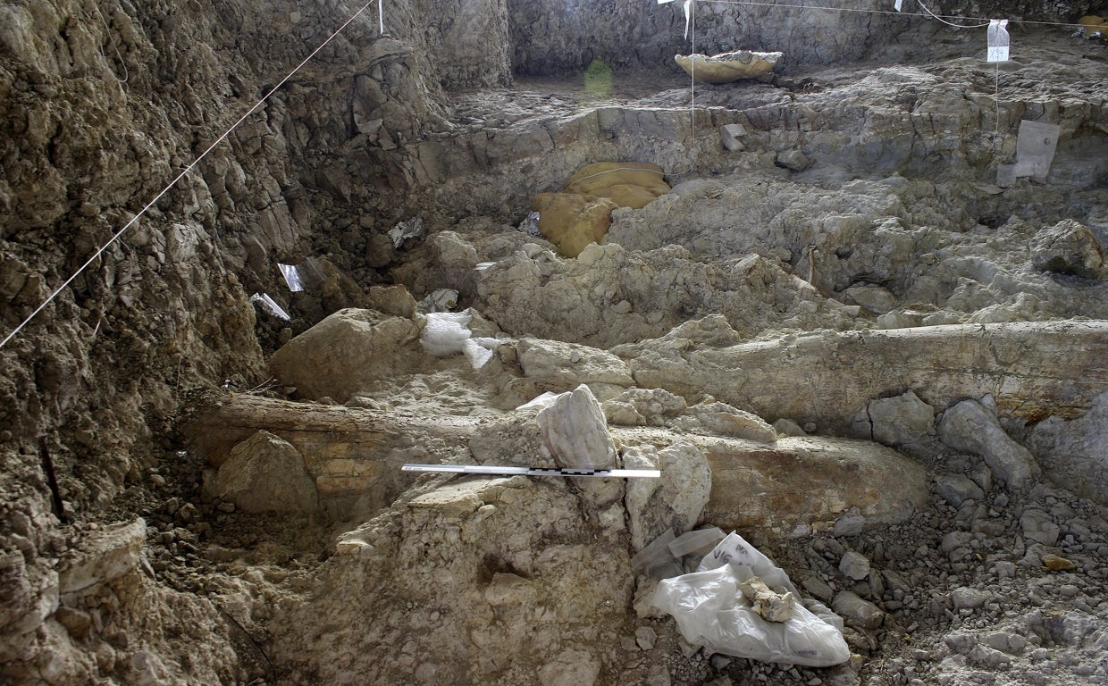 Yacimiento prehistórico en Orce (Granada)