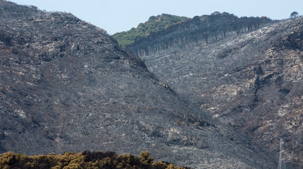 Casi 30 bomberos se afanan todavía en apagar definitivamente el incendio de Mijas