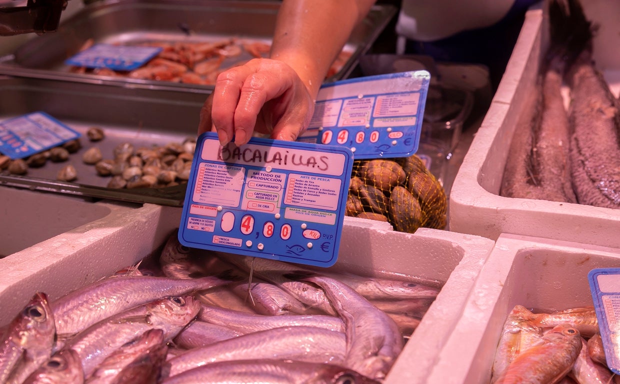 Precio de las bacaladillas en una pescadería en Córdoba