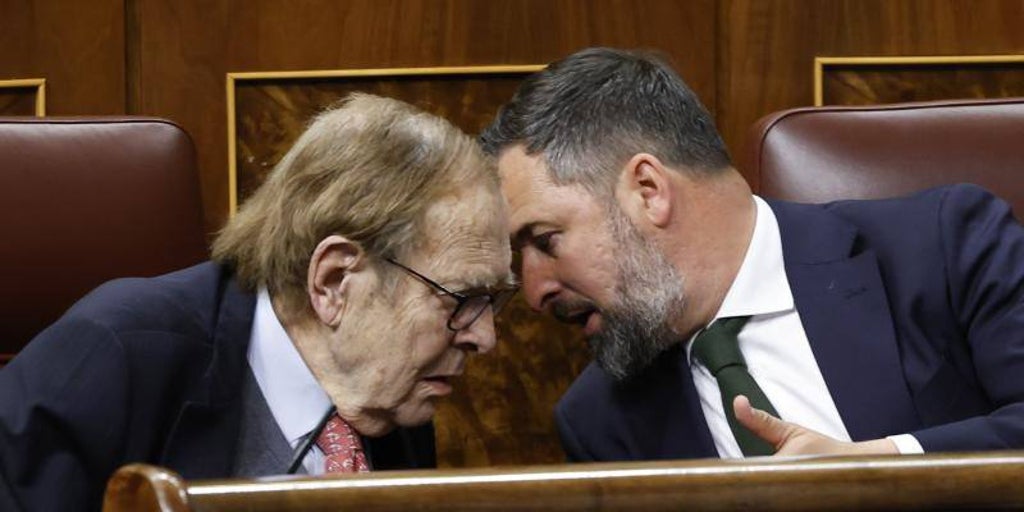 Vox d’aire al Gobierno