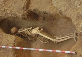 Confirman por primera vez el origen fenicio de restos humanos hallados en excavaciones de Cádiz