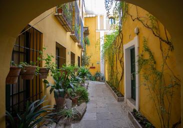 Barreduelas: las callejas históricas de Sevilla