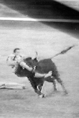 La muerte digna de Paquirri