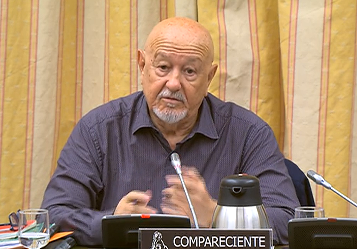 Marcelino Martín Blas durante su comparecencia este martes en el Congreso de los Diputados