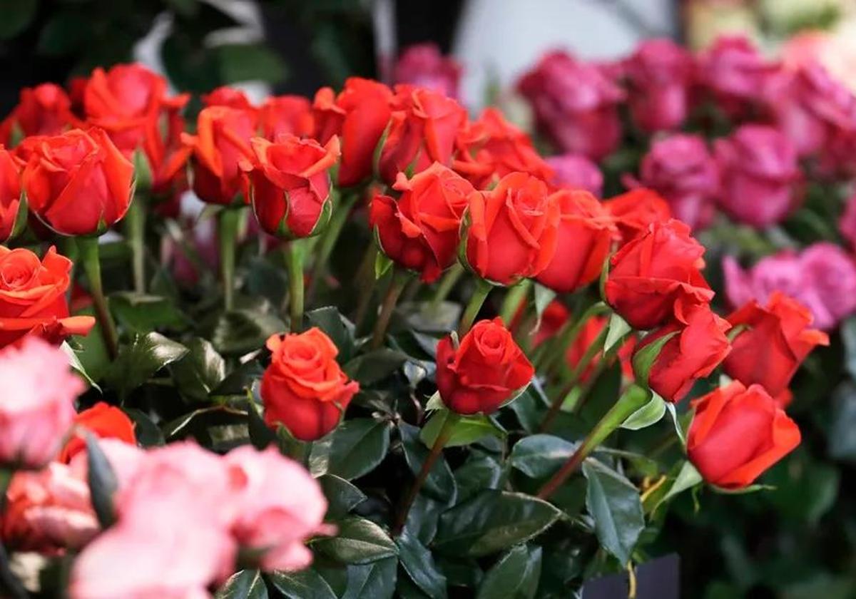 Esto es lo que gastará de media cada español en regalos para San Valentín