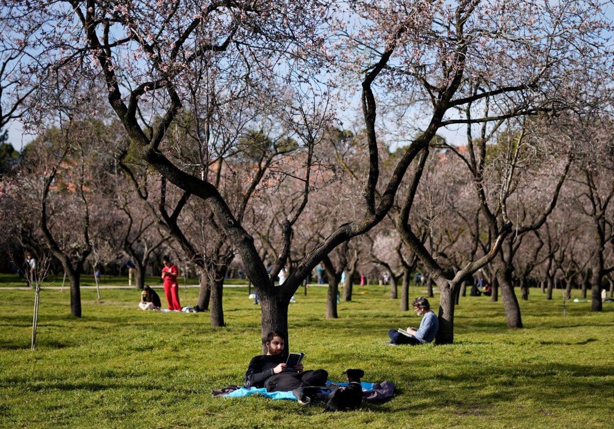 La Quinta de los Molinos, en febrero