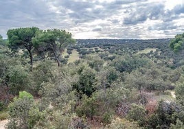 De Madrid al cielo: el mejor lugar para ver el atardecer está a 10 minutos del centro