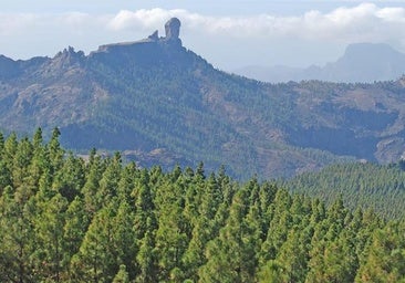 Vicente Valles revela cuál es la mejor zona de España para irse de vacaciones este verano