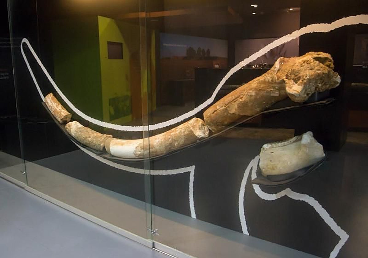 Cintia cossio xvideo