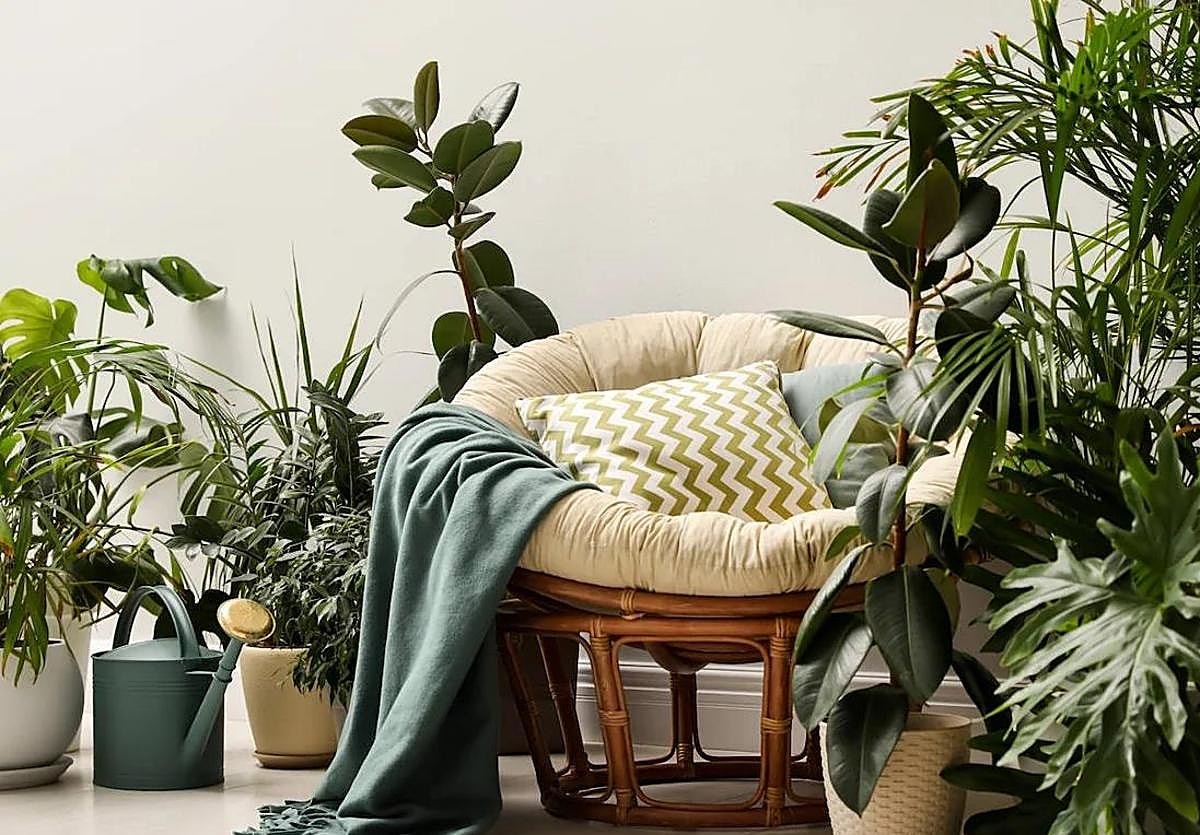 La ciencia desmonta el mito de que las plantas «nos roban el oxígeno» mientras dormimos