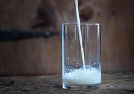 Boticaria García, nutricionista: «Si toleras la leche, no hay ninguna evidencia por la que tengas que eliminarla de tu dieta»