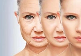 Ángel Durántez, médico especialista en longevidad: «Hay dos momentos en la vida en el que empiezan a dispararse las enfermedades y se acelera el envejecimiento»