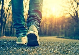 Arthur Brooks, experto en longevidad y 'gurú' de la felicidad en Harvard: «Caminar es una de las mejores cosas que puedes hacer para reducir los síntomas depresivos y la ansiedad»