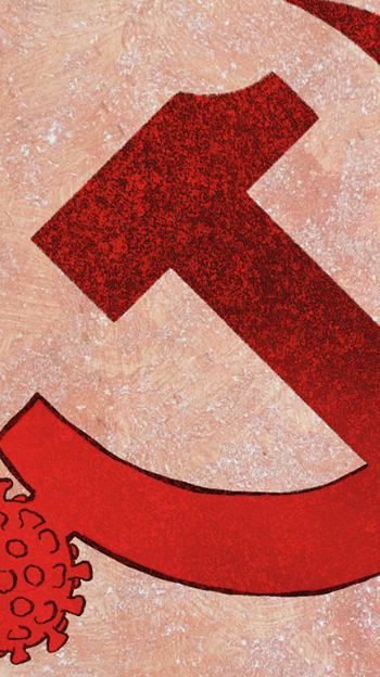 Mil días en la tierra sin Covid