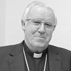 <div class="voc-author__name">josé ángel saiz meneses</div>