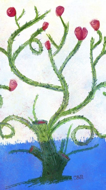 Perdón y resentimiento