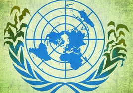 ONU: 80 años en la inoperancia