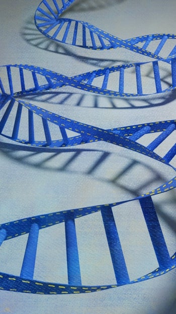 Los estupendos genes de Sydney