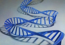 Los estupendos genes de Sydney