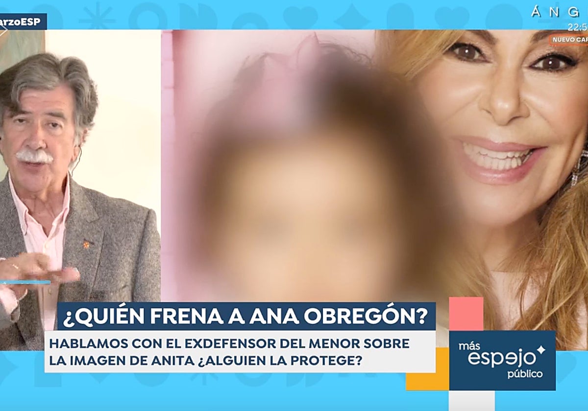 Javier Urra, exdefensor del menor, ha dejado un mensaje a Ana Obregón desde 'Espejo Público'.