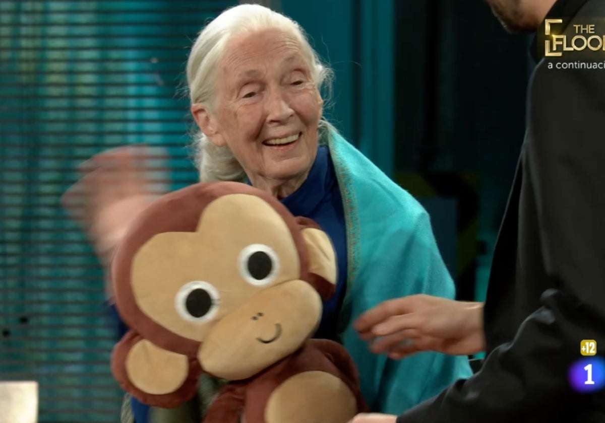 Sorpresa mayúscula en 'La Revuelta' ante la visita de la leyenda Jane  Goodall: «Los chimpancés me recuerdan a ciertos políticos hombres»