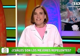La verdad sobre las pulseras antimosquitos: «¿Son realmente efectivas?»